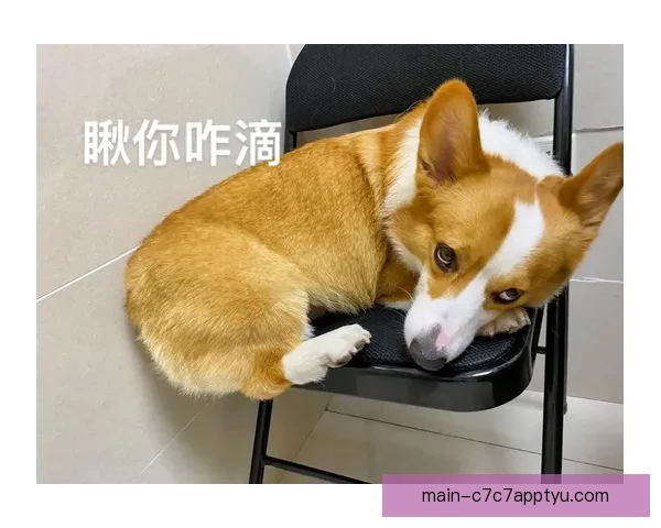 从不屑评论到惹人厌基恩转变史 从不屑评论到惹人厌基恩转变史