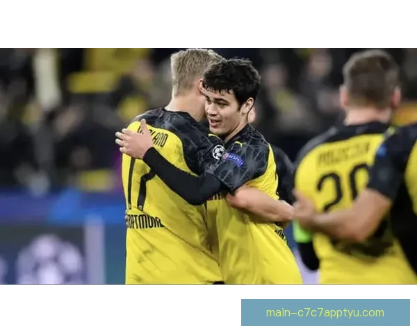 为避FIFA接管马足总辞职潮