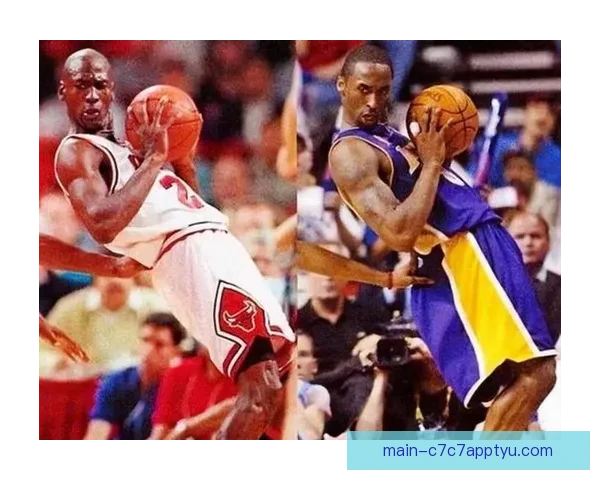 哈珀称科比总追问乔丹怎么做